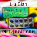 Liu Bian new04